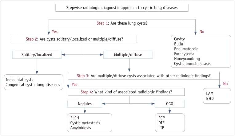 Imaging approach to cystic lung diseases