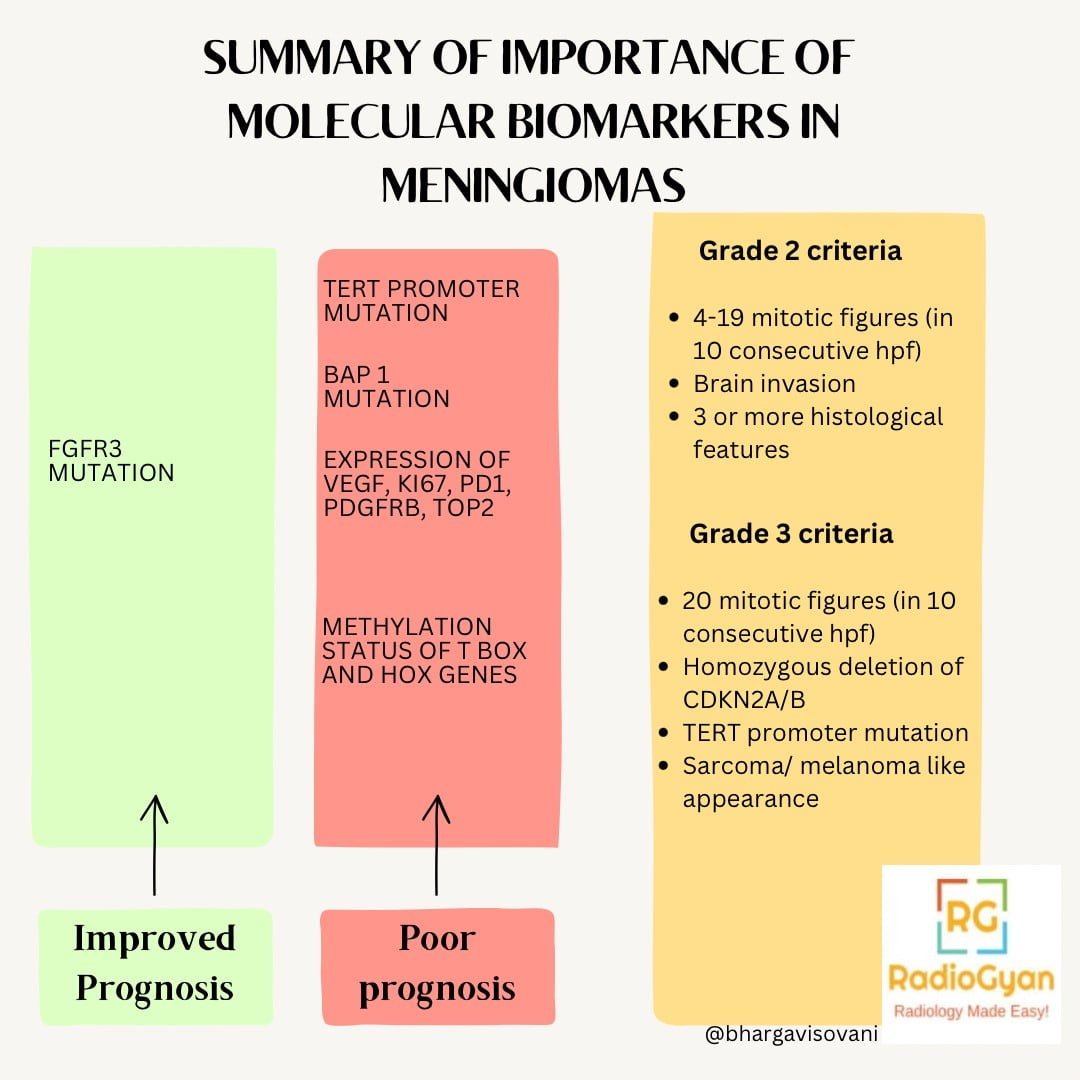 Summary of Important Molecular Biomarkers in Meningiomas